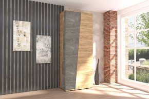 Аллегро-10 Шкаф двухдверный Диал в Сургуте - surgut.mebel-tymen.ru | фото