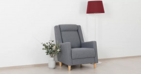 Дилан Кресло для отдыха арт. ТК 423 в Сургуте - surgut.mebel-tymen.ru | фото