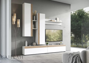 Гостиная НАО-Моно №1 в Сургуте - surgut.mebel-tymen.ru | фото