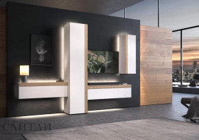 Гостиная НАО-Моно №7 в Сургуте - surgut.mebel-tymen.ru | фото