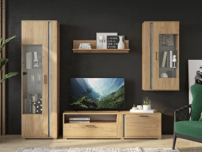 Гостиная Омега в Сургуте - surgut.mebel-tymen.ru | фото