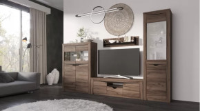 Гостиная Серия Регина дуб самдал в Сургуте - surgut.mebel-tymen.ru | фото