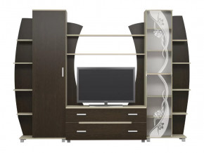 Гостиная Тиана-3 (Дуб Белфорт/Дуб Венге) в Сургуте - surgut.mebel-tymen.ru | фото