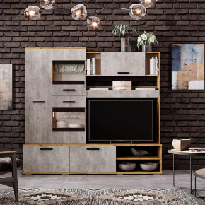 Гостиная Трамп ЦС-05 в Сургуте - surgut.mebel-tymen.ru | фото