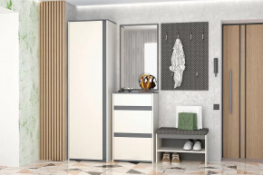 Иннэс-12  Прихожая №1 Диал в Сургуте - surgut.mebel-tymen.ru | фото