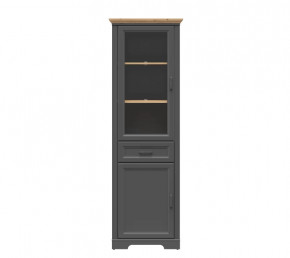 JASMIN шкаф REG1W1D1S (Графит/ Дуб артизан) в Сургуте - surgut.mebel-tymen.ru | фото