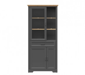 JASMIN шкаф REG1W2D1S (Графит/ Дуб артизан) в Сургуте - surgut.mebel-tymen.ru | фото