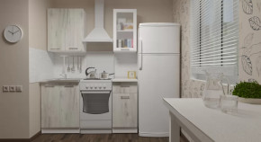 Кухонный гарнитур Алина мини 1000 мм в Сургуте - surgut.mebel-tymen.ru | фото