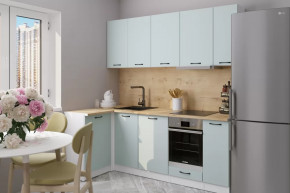 Кухонный гарнитур Лиора прайм 400 1100х2000 мм в Сургуте - surgut.mebel-tymen.ru | фото