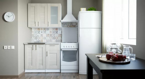 Кухонный гарнитур Лира мини 1000 мм в Сургуте - surgut.mebel-tymen.ru | фото