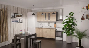 Кухонный гарнитур Ника стандарт 1600 мм в Сургуте - surgut.mebel-tymen.ru | фото