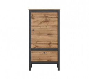 LOFT шкаф REG1D1S/60 (Дуб вотан/Черный) в Сургуте - surgut.mebel-tymen.ru | фото