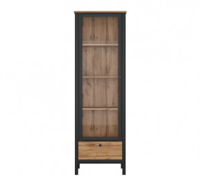 LOFT шкаф REG1W1S (Дуб вотан/Черный) в Сургуте - surgut.mebel-tymen.ru | фото