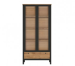 LOFT шкаф REG2W1S (Дуб вотан/Черный) в Сургуте - surgut.mebel-tymen.ru | фото