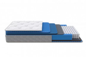 Матрас SS/M (Medium Low Plus) 1600*2000 мм в Сургуте - surgut.mebel-tymen.ru | фото