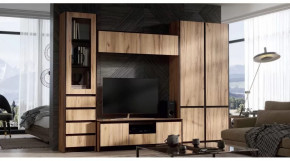 Мебель для гостиной Модульная серия Бостон дуб вотан в Сургуте - surgut.mebel-tymen.ru | фото