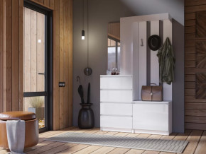 Прихожая Челси белый в Сургуте - surgut.mebel-tymen.ru | фото