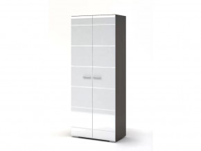 Шкаф 2-х створчатый Вегас в Сургуте - surgut.mebel-tymen.ru | фото