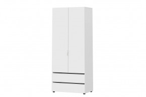 Шкаф двухстворчатый с двумя ящиками Токио в Сургуте - surgut.mebel-tymen.ru | фото