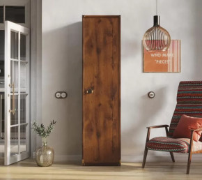 Шкаф JREG 1d Дуб саттер ИНДИАНА в Сургуте - surgut.mebel-tymen.ru | фото