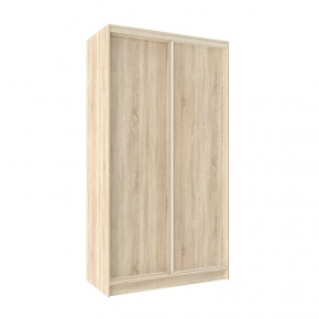 Шкаф-купе 1200 Домашний лдсп/лдсп в Сургуте - surgut.mebel-tymen.ru | фото