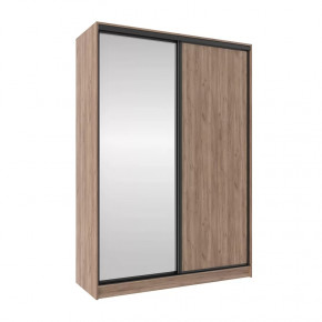 Шкаф-купе 1600 Домашний (зеркало/лдсп) в Сургуте - surgut.mebel-tymen.ru | фото