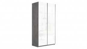 Шкаф-купе 2-х дверный «Траст» в Сургуте - surgut.mebel-tymen.ru | фото