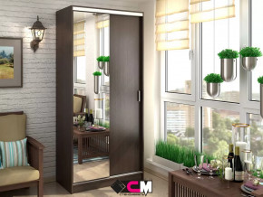 Шкаф-купе Альянс 1000 в Сургуте - surgut.mebel-tymen.ru | фото