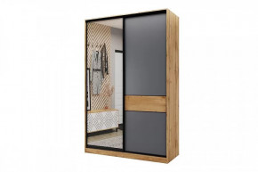 Шкаф-купе SLIM двухдверный BS15-6.ZD в Сургуте - surgut.mebel-tymen.ru | фото