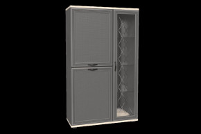 Шкаф многоцелевой ШК-1082 Карина в Сургуте - surgut.mebel-tymen.ru | фото