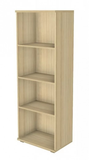 Шкаф многоцелевой ШК-1088 Карина в Сургуте - surgut.mebel-tymen.ru | фото