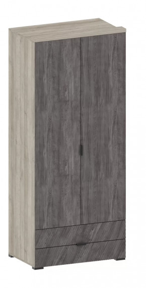 Шкаф Шаде ШК-2905 в Сургуте - surgut.mebel-tymen.ru | фото