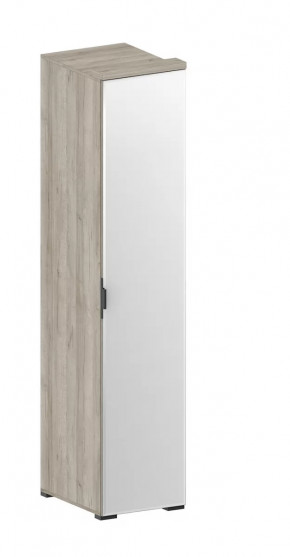 Шкаф Шаде ШК-2912 в Сургуте - surgut.mebel-tymen.ru | фото