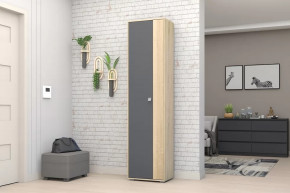 Шкаф ШК-01 Монако в Сургуте - surgut.mebel-tymen.ru | фото