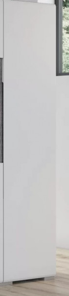 Шкаф Уна Лофт ШК-2807 в Сургуте - surgut.mebel-tymen.ru | фото