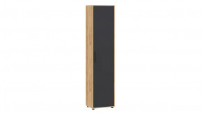 Шкаф «Витра» тип 1 Дуб Крафт золотой, Антрацит в Сургуте - surgut.mebel-tymen.ru | фото