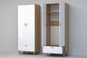 Шкаф Эго Шк-1, 800мм, 2 двери, 1 ящик в Сургуте - surgut.mebel-tymen.ru | фото