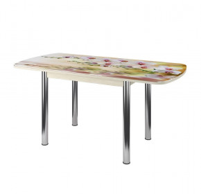 Стол Бостон-3 раздвижной, фотопечать Орхидея на воде/венге/хром брифинг в Сургуте - surgut.mebel-tymen.ru | фото