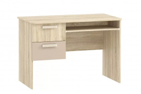 Стол для компьютера НМ 009.19-05 М2 Акварель в Сургуте - surgut.mebel-tymen.ru | фото