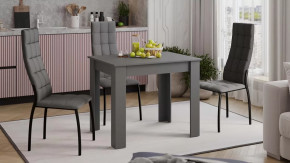 Стол обеденный «Промо» тип 1 Серый графит в Сургуте - surgut.mebel-tymen.ru | фото