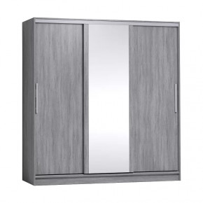 Strike 2000 Шкаф-купе зеркало/лдсп в Сургуте - surgut.mebel-tymen.ru | фото