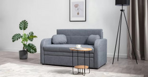 Тео (120) Диван-кровать Danco 995 (серый) арт. ТД 909 в Сургуте - surgut.mebel-tymen.ru | фото