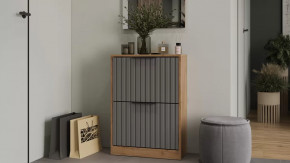 Тумба для обуви «Хилтон» Исп.2 Дуб Крафт золотой, Графит матовый в Сургуте - surgut.mebel-tymen.ru | фото