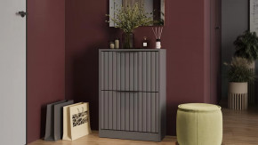 Тумба для обуви «Хилтон» Исп.2 Серый графит, Графит матовый в Сургуте - surgut.mebel-tymen.ru | фото