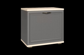 Тумба для обуви ТБ-1042 Карина в Сургуте - surgut.mebel-tymen.ru | фото