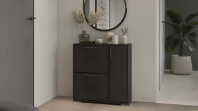 Тумба для обуви Тип 15 Антрацит в Сургуте - surgut.mebel-tymen.ru | фото