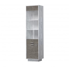 ЭГО ПС-1 Пенал с 2 дверьми 500 мм Диал в Сургуте - surgut.mebel-tymen.ru | фото